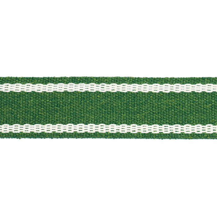 Schumacher Sullivan Tape Narrow Indoor/Outdoor Green Trim Sample 83672