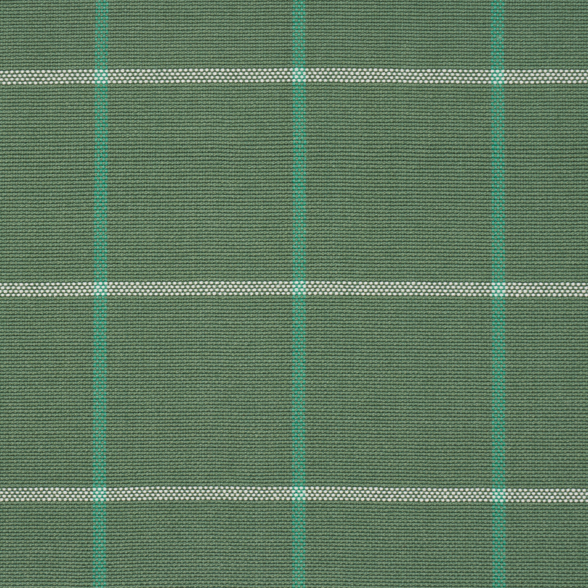 Schumacher Frannie Windowpane Green Fabric 83783