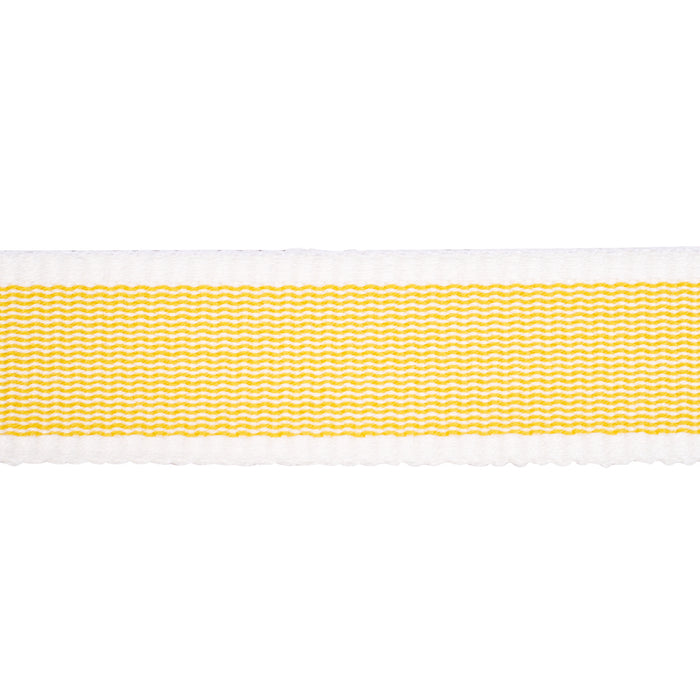 Schumacher Sandpiper Tape Narrow Yellow Trim 83890