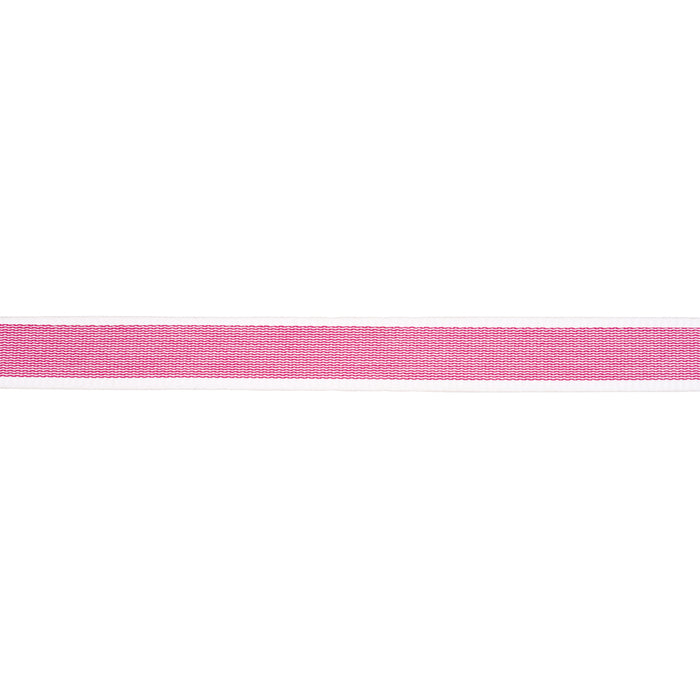 Schumacher Sandpiper Tape Narrow Pink Trim Sample 83892