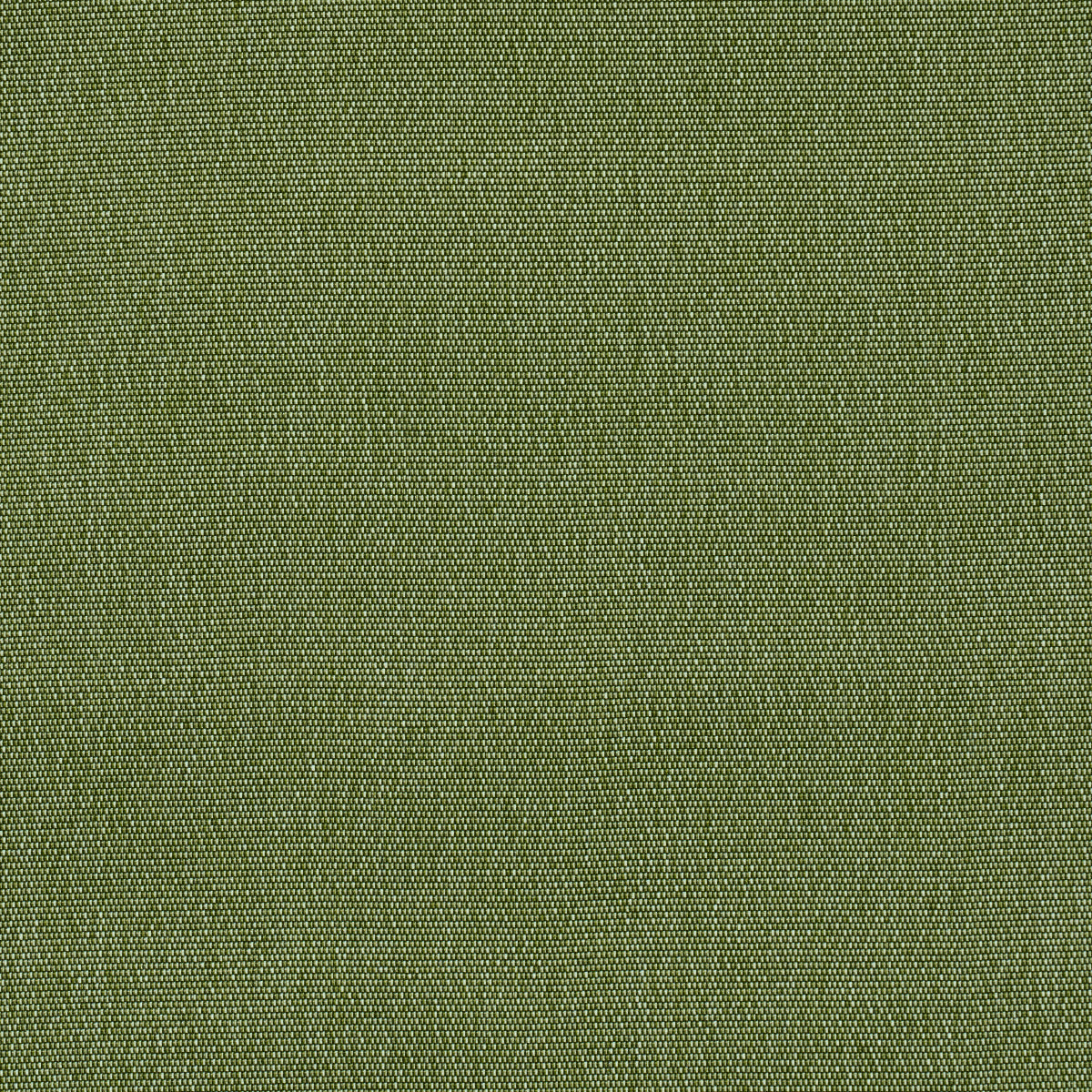 Schumacher Cooper Indoor/Outdoor Green Fabric 84140