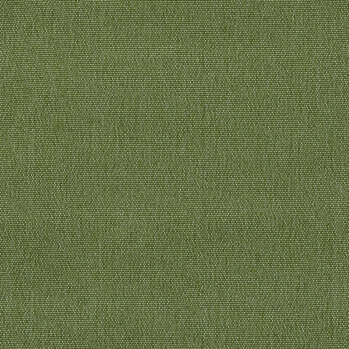 Schumacher Cooper Indoor/Outdoor Green Fabric 84140