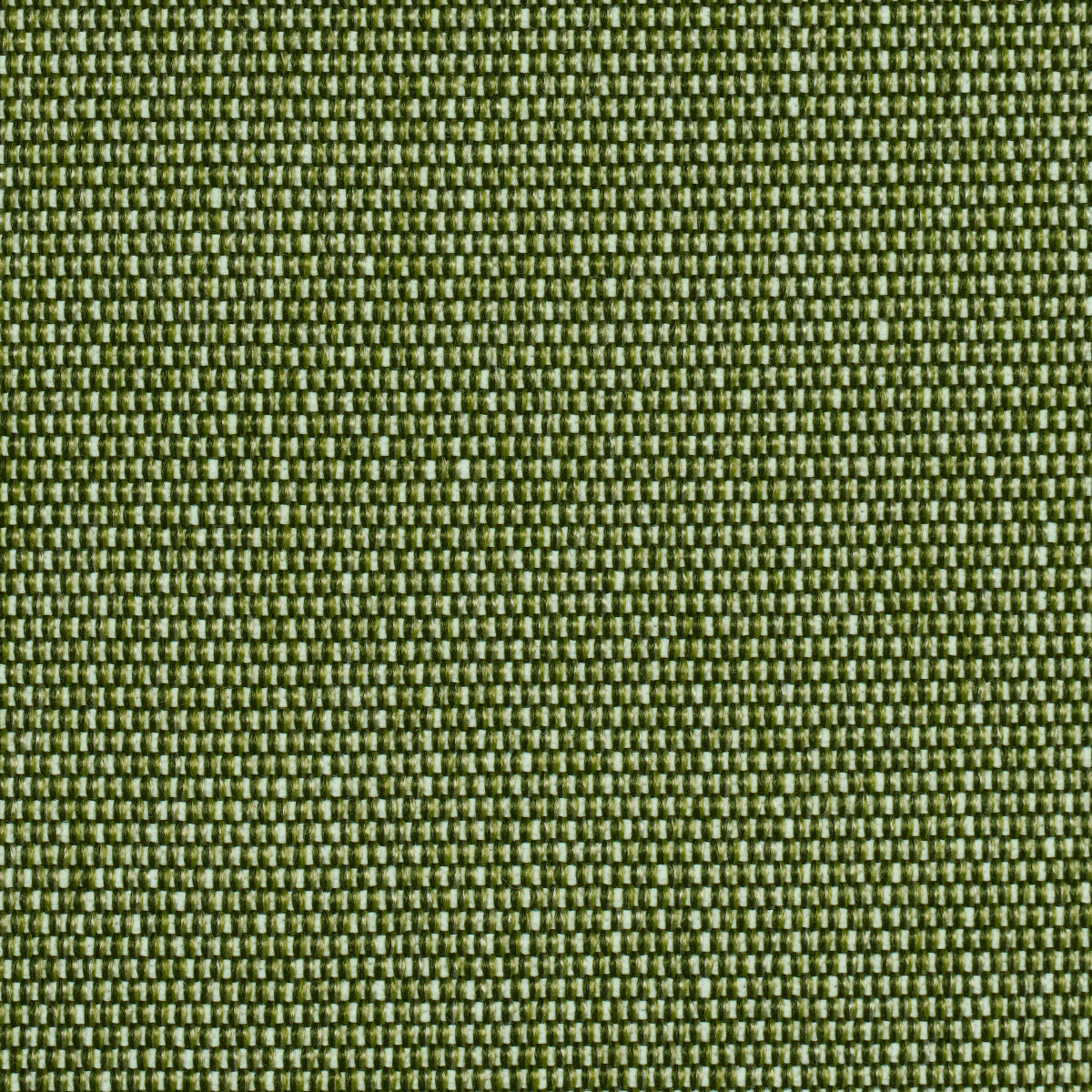 Schumacher Cooper Indoor/Outdoor Green Fabric 84140