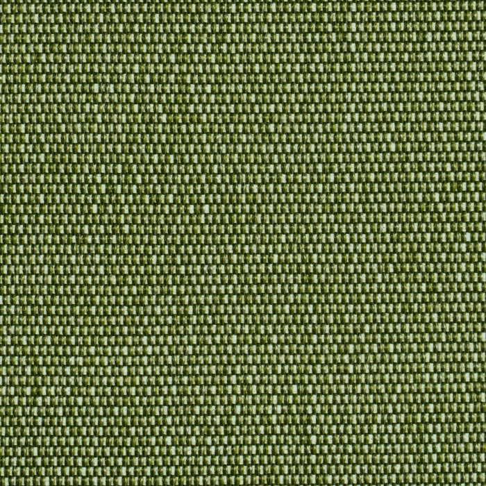 Schumacher Cooper Indoor/Outdoor Green Fabric Sample 84140