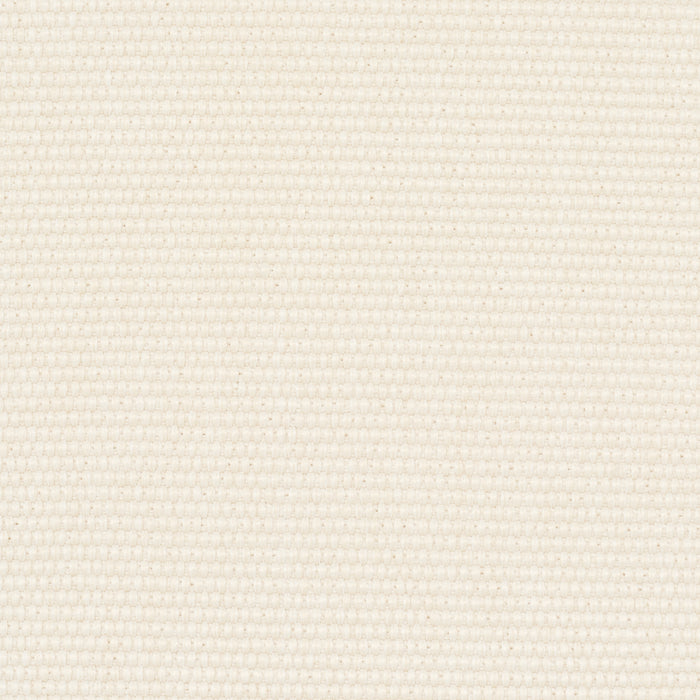 Schumacher Cooper Indoor/Outdoor Ivory Fabric Sample 84148