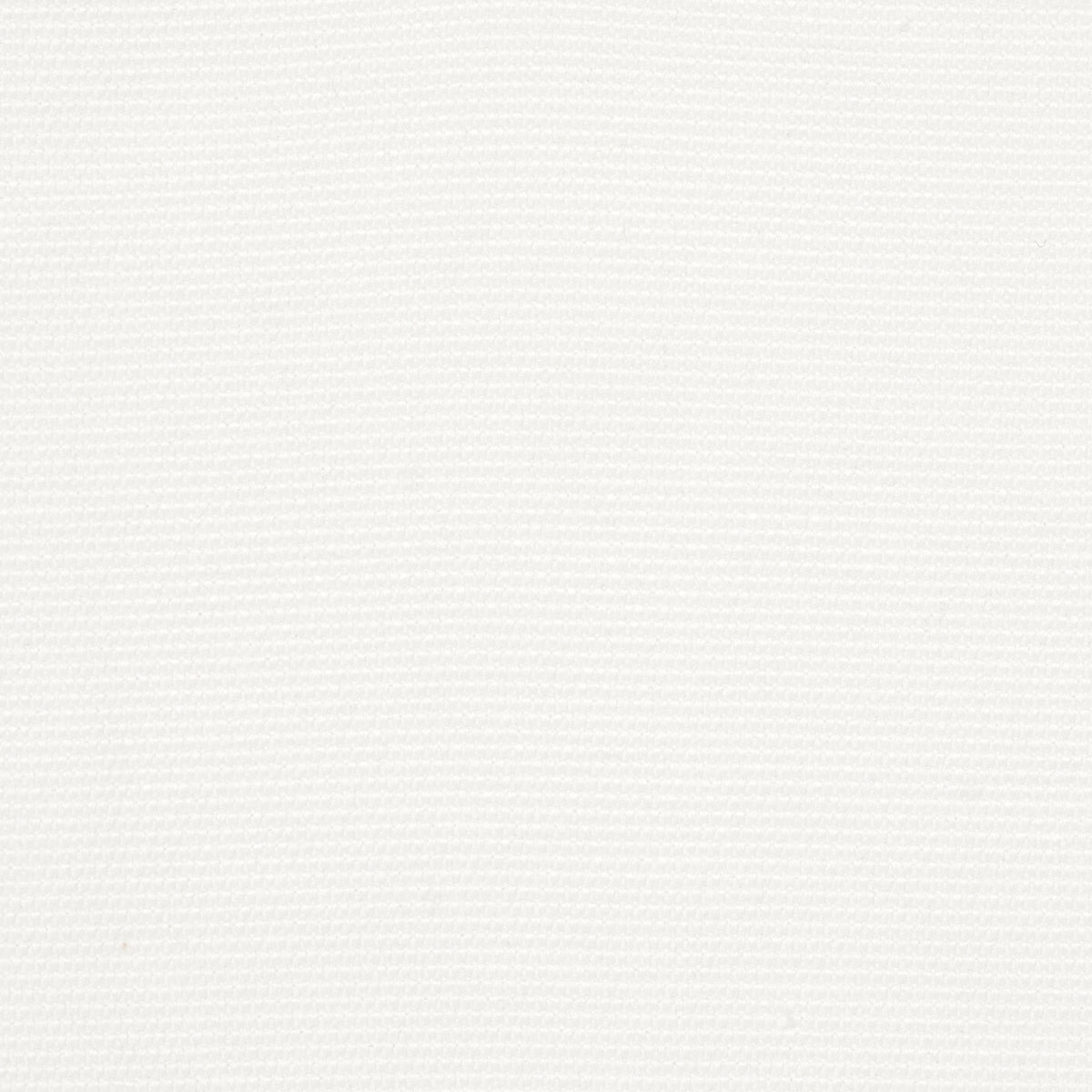 Schumacher Cooper Indoor/Outdoor White Fabric 84149