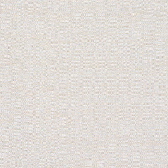 Schumacher Sadie Indoor/Outdoor White On Natural Fabric Sample 84150