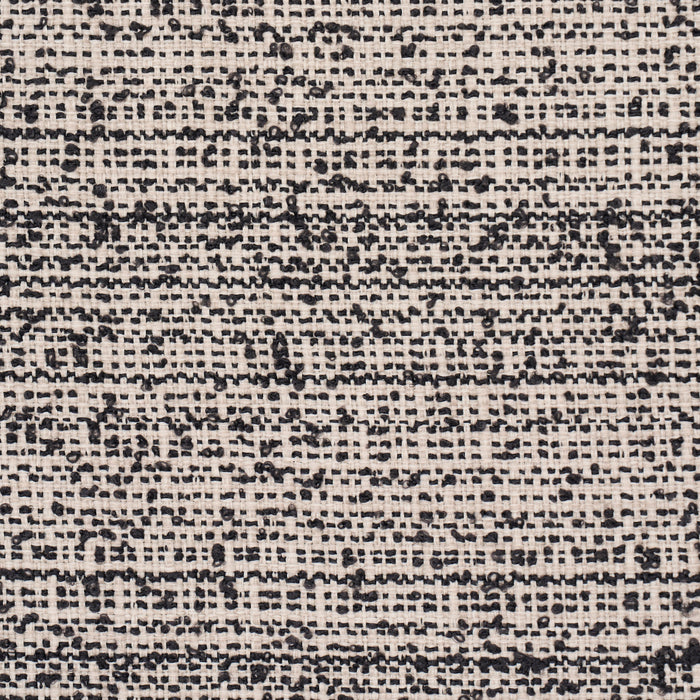 Schumacher Sadie Indoor/Outdoor Black On Natural Fabric Sample 84152