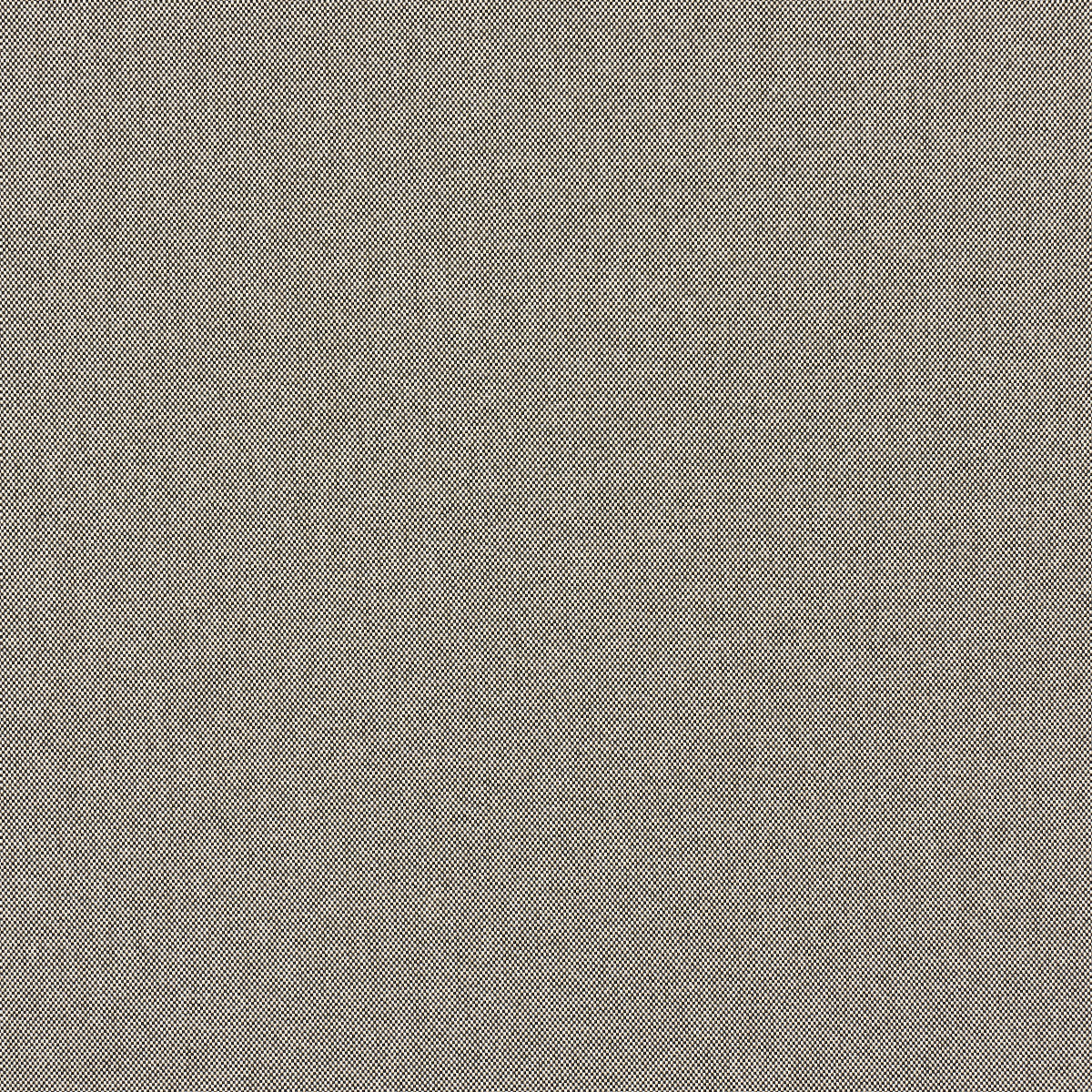 Schumacher Brock Indoor/Outdoor Black Fabric 84160