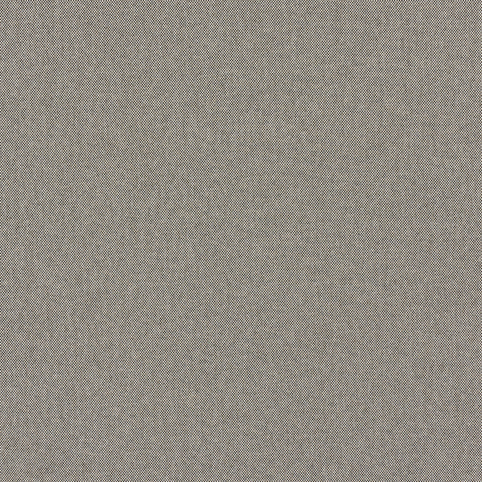 Schumacher Brock Indoor/Outdoor Black Fabric Sample 84160