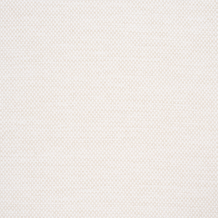 Schumacher Pippa Indoor/Outdoor Ivory Fabric Sample 84171