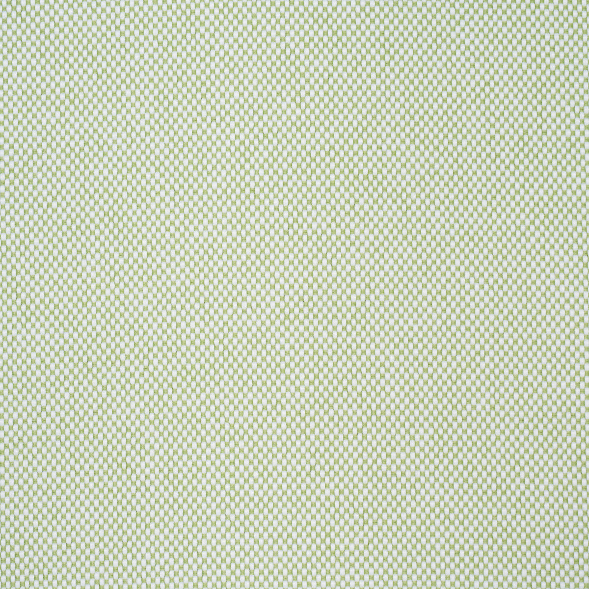 Schumacher Pippa Indoor/Outdoor Leaf Fabric Sample 84173