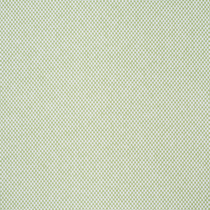 Schumacher Pippa Indoor/Outdoor Leaf Fabric Sample 84173