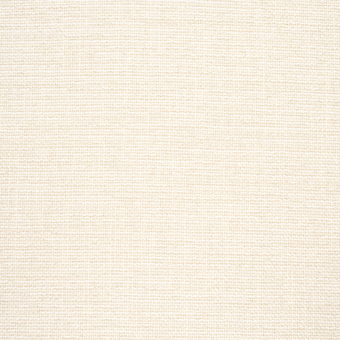 Schumacher Lily Indoor/Outdoor Ivory Fabric Sample 84221