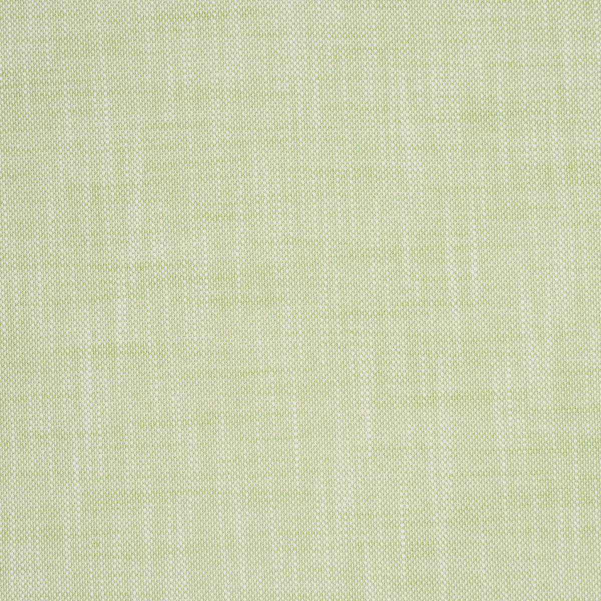 Schumacher Sasha Indoor/Outdoor Green Fabric 84232