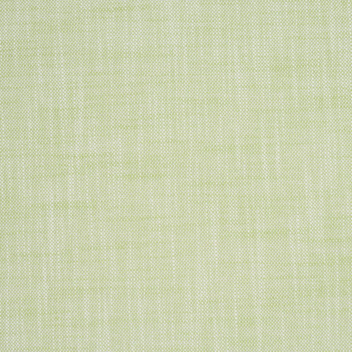 Schumacher Sasha Indoor/Outdoor Green Fabric Sample 84232