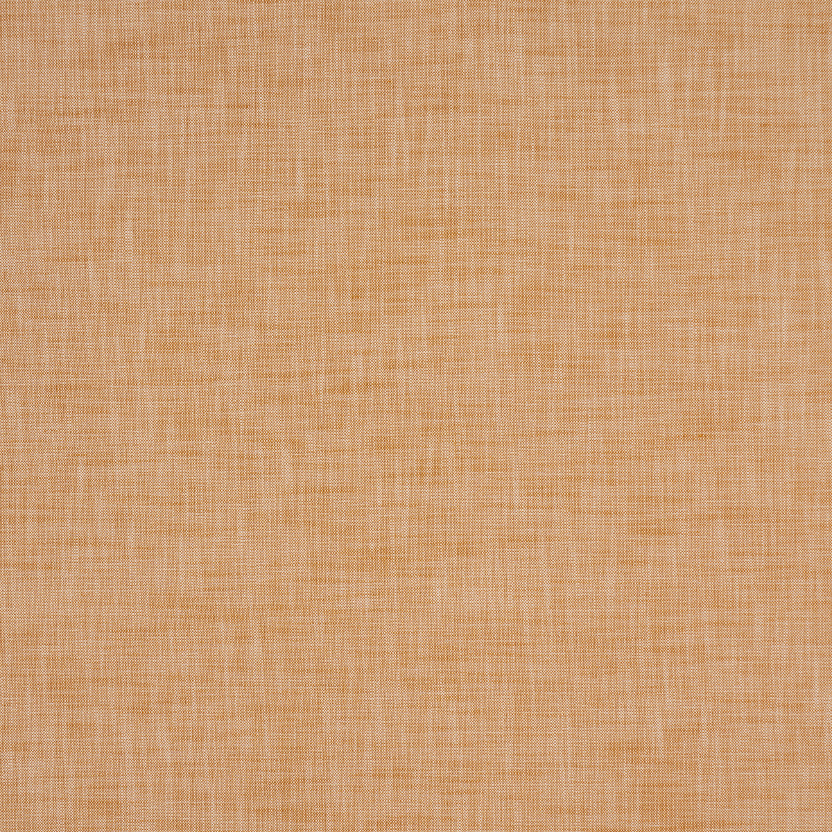 Schumacher Sasha Indoor/Outdoor Tan Fabric 84236