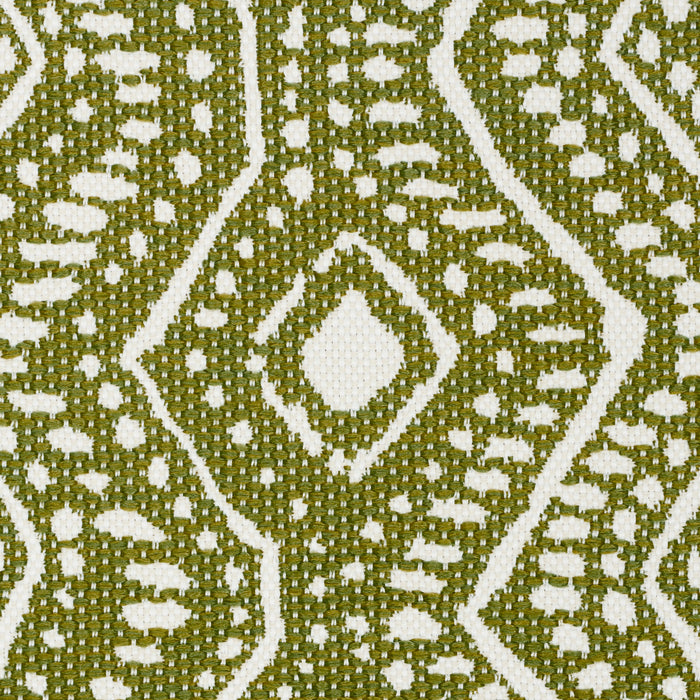 Schumacher Colma Indoor/Outdoor Verde Fabric Sample 84242