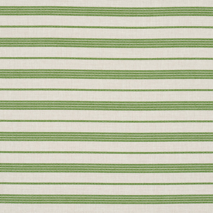 Schumacher Serra Mesa Indoor/Outdoor Stripe Verde Fabric 84272