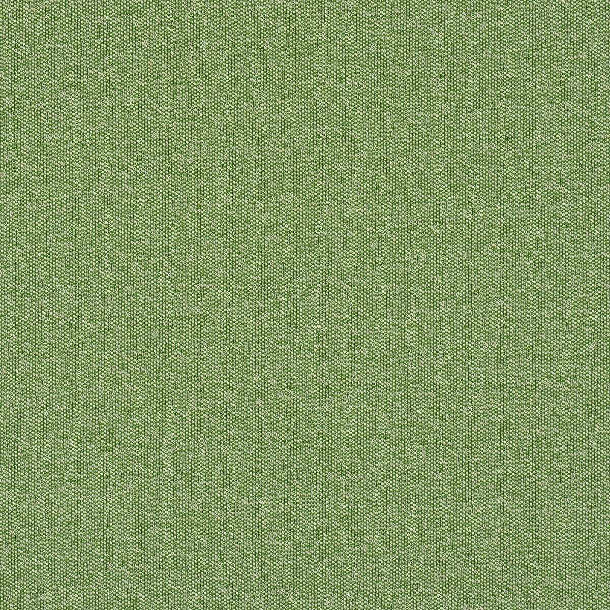 Schumacher Gus Indoor/Outdoor Grass Fabric Sample 84341