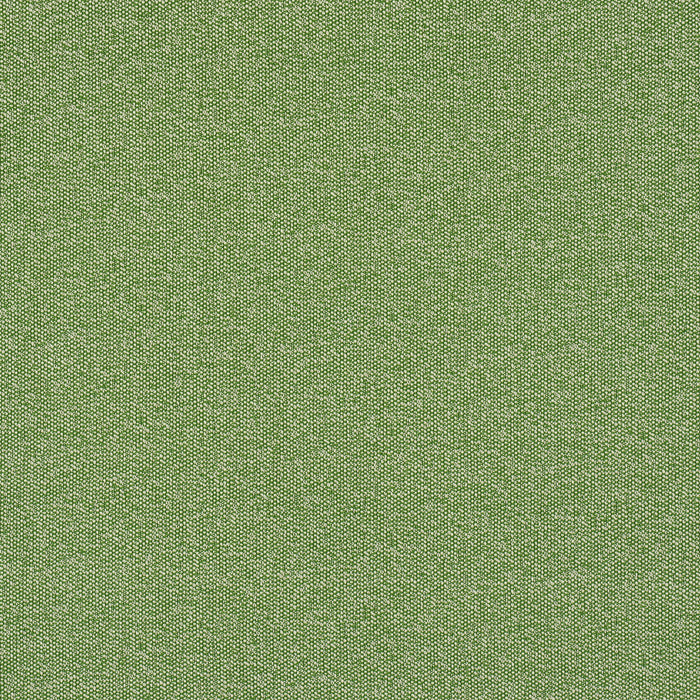 Schumacher Gus Indoor/Outdoor Grass Fabric Sample 84341