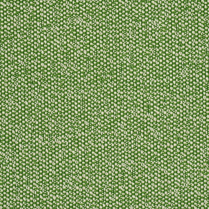 Schumacher Gus Indoor/Outdoor Grass Fabric Sample 84341