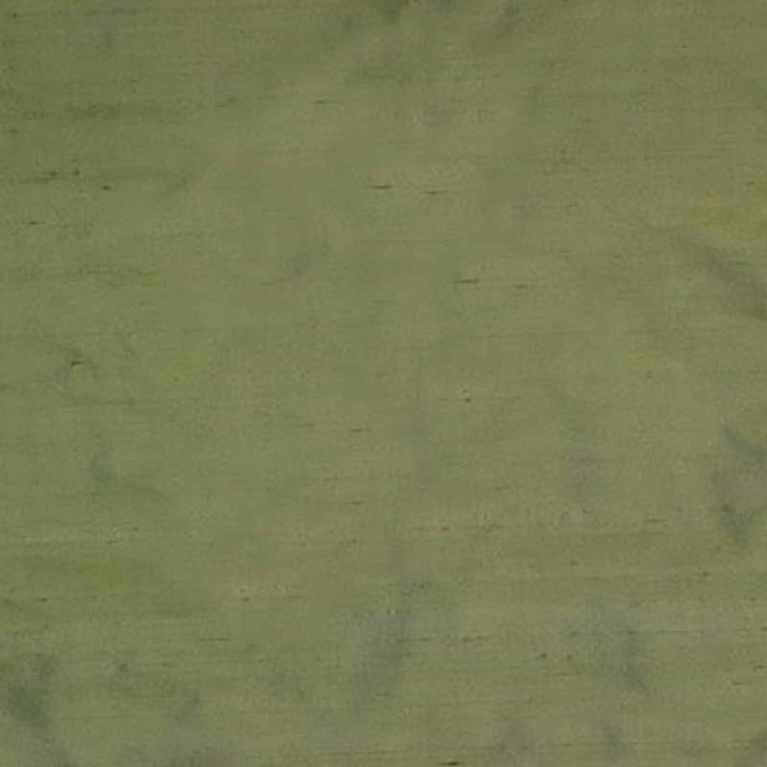 Kravet Basics Pavillon Silk Cactus Fabric Sample 8486.323.0