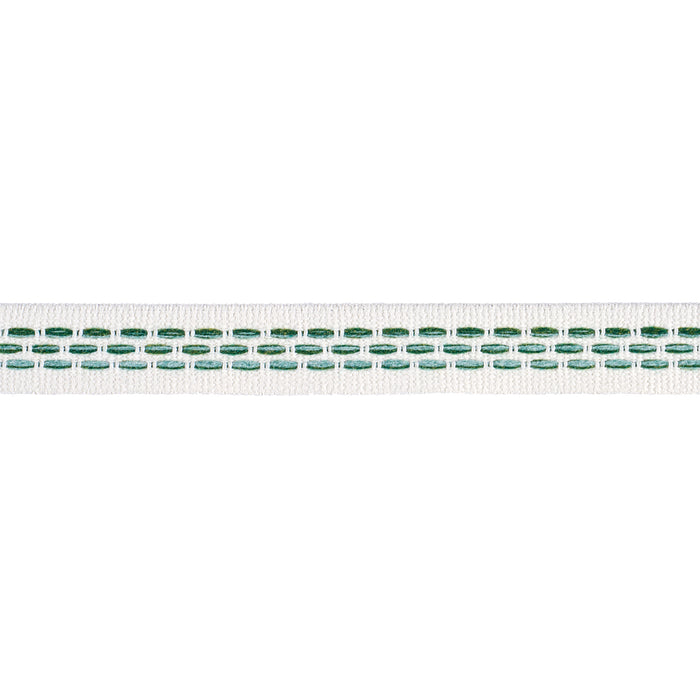 Schumacher Portola Tape Narrow Indoor/Outdoor Green Trim Sample 85182