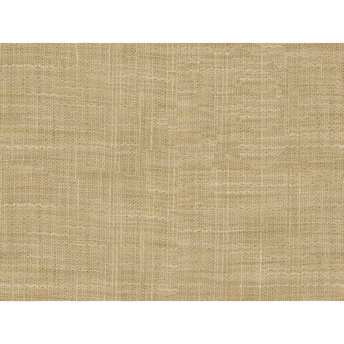 Kravet Basics 8813 1116 Fabric Sample 8813.1116.0