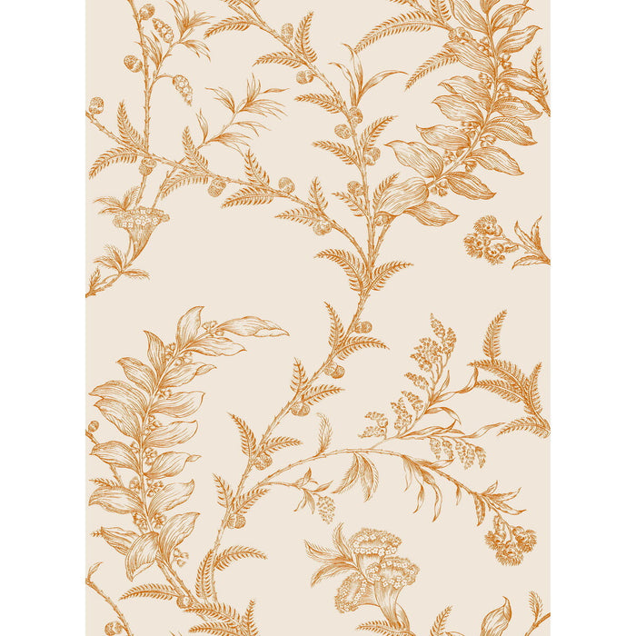 Cole & Son Ludlow Peach Wallpaper Sample 88/1003.CS.0