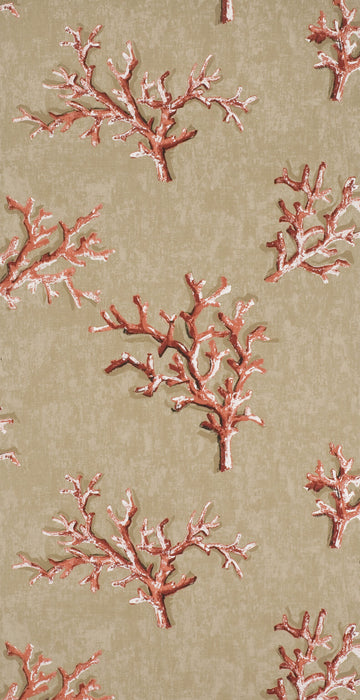 Pierre Frey Lavezzi Corail Wallpaper FP196004