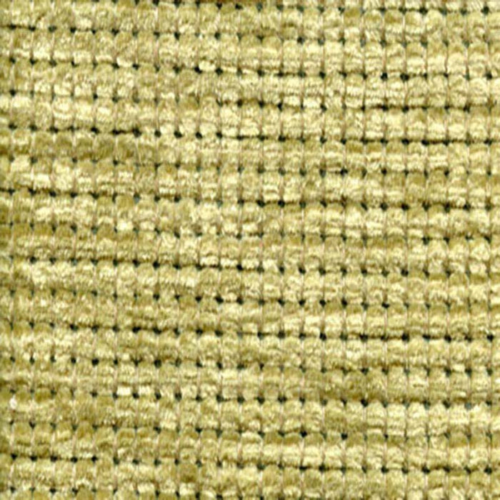 Ast 9017 Citron Fabric Sample