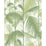 Cole & Son Palm Jungle Olive Gre/White Wallpaper Sample 95/1001.CS.0