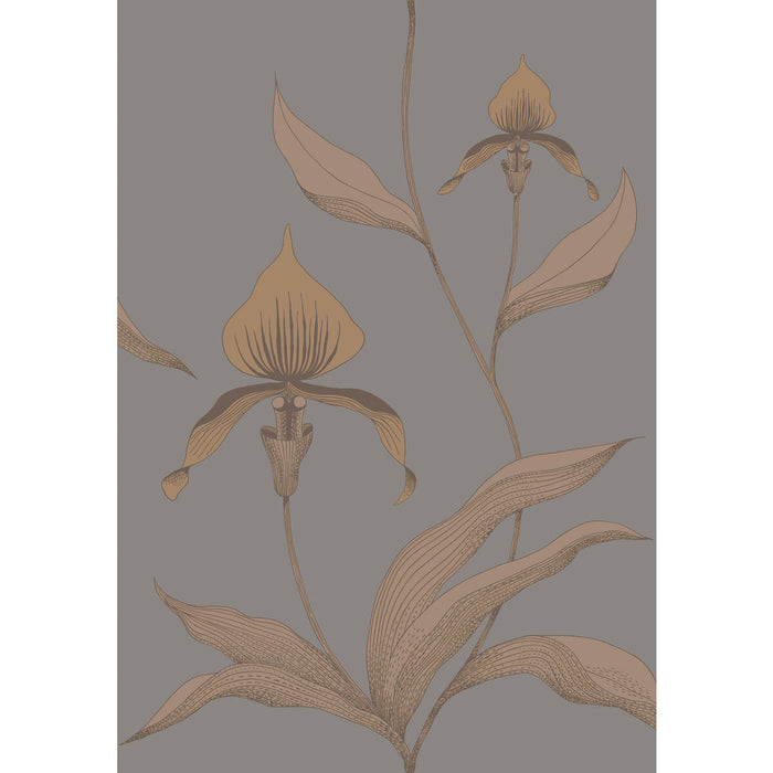 Cole & Son Orchid Bronze/Slate Wallpaper Sample 95/10056.CS.0