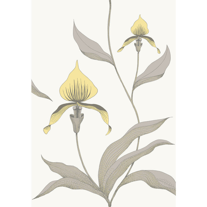 Cole & Son Orchid Yellow/White Wallpaper Sample 95/10057.CS.0