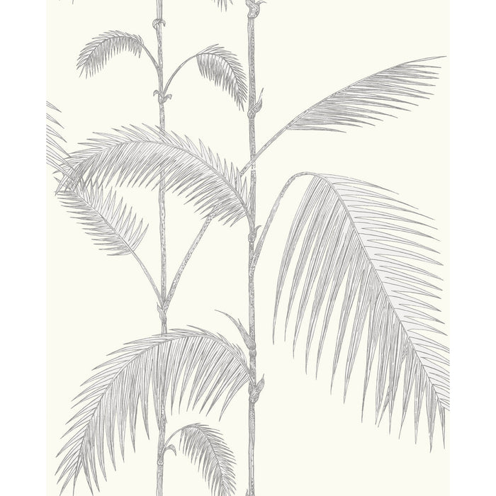 Cole & Son Palm Leaves Grey/White Wallpaper Sample 95/1008.CS.0