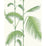 Cole & Son Palm Leaves Green/White Wallpaper Sample 95/1009.CS.0