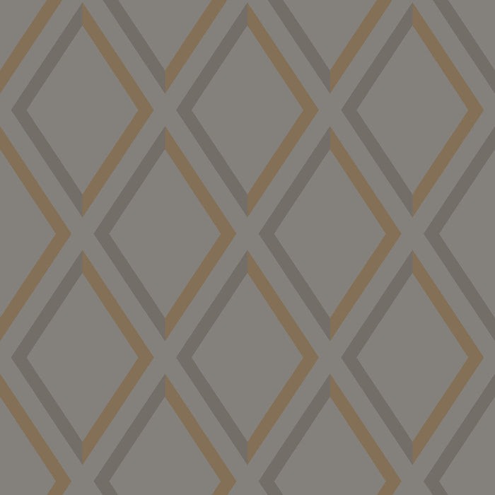 Cole & Son Pompeian Slate/Bronze Wallpaper Sample 95/11062.CS.0