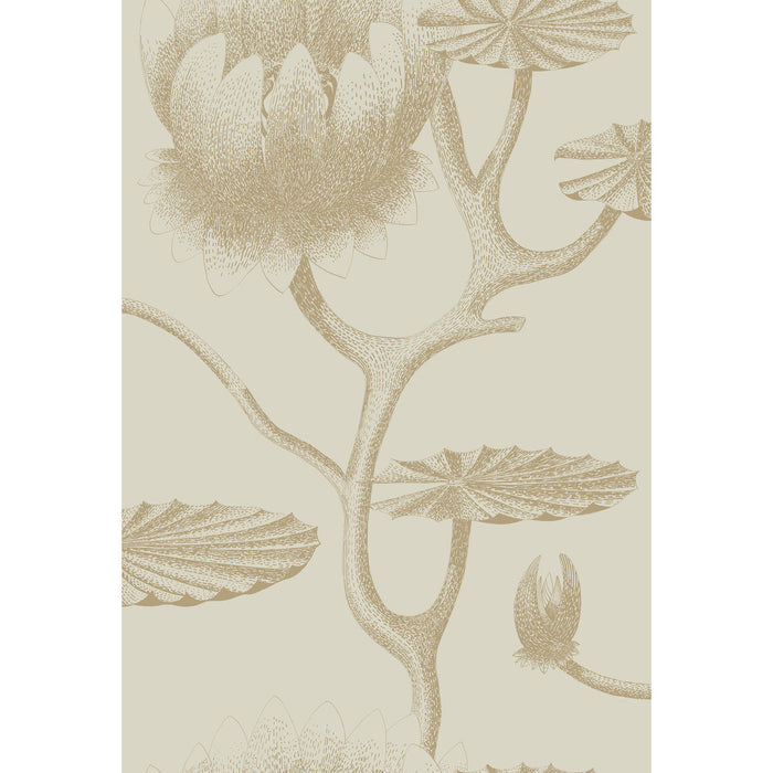 Cole & Son Lily Linen/Gold Wallpaper Sample 95/4019.CS.0