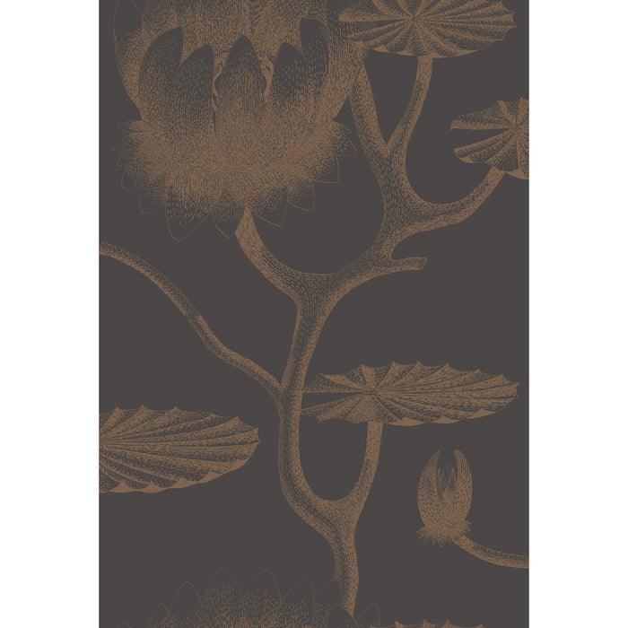 Cole & Son Lily Black/Bronze Wallpaper Sample 95/4021.CS.0