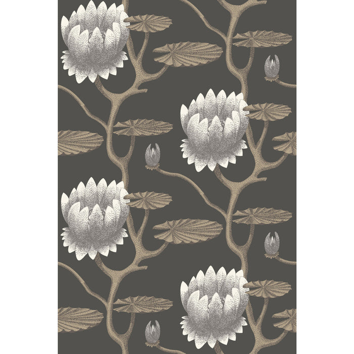 Cole & Son Summer Lily Blk/Wht/Gold Wallpaper Sample 95/4026.CS.0