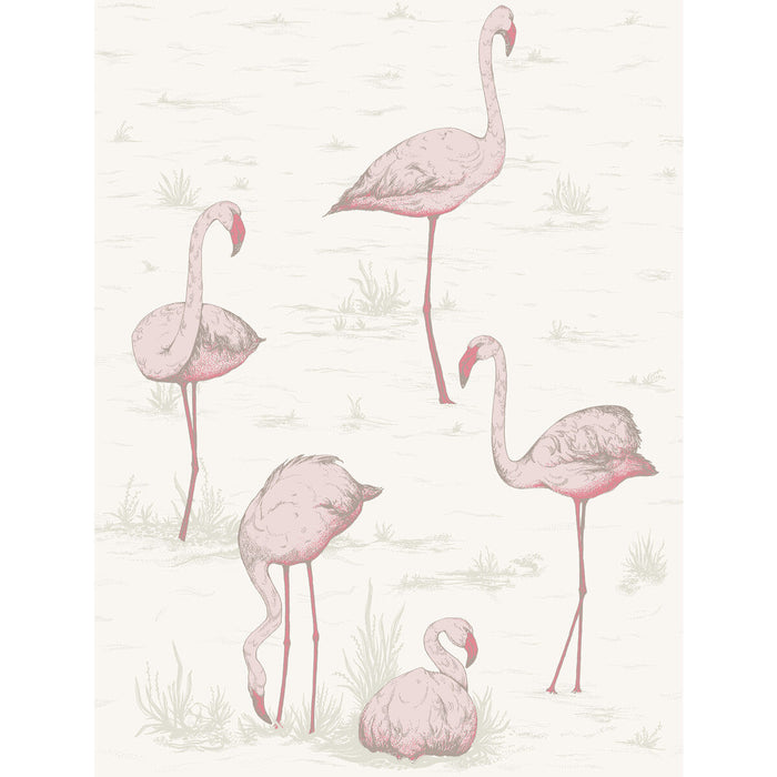 Cole & Son Flamingos Pink/White Wallpaper Sample 95/8045.CS.0