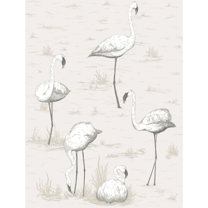 Cole & Son Flamingos Charcoal/Wht Wallpaper Sample 95/8046.CS.0