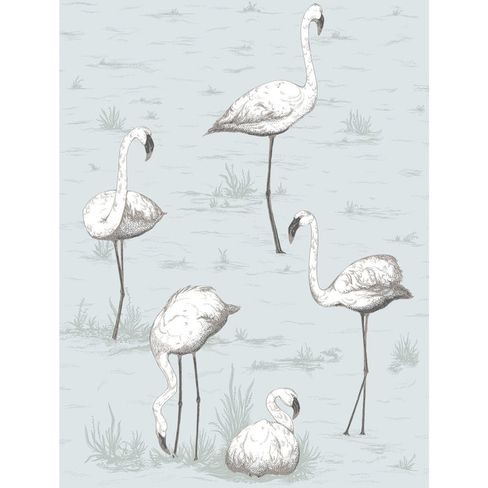 Cole & Son Flamingos Charcoal/Aqua Wallpaper Sample 95/8047.CS.0