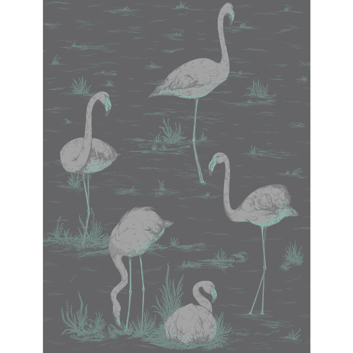 Cole & Son Flamingos Teal/Slvr/Bk Wallpaper Sample 95/8048.CS.0