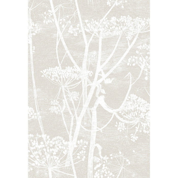 Cole & Son Cow Parsley Linen/White Wallpaper Sample 95/9051.CS.0