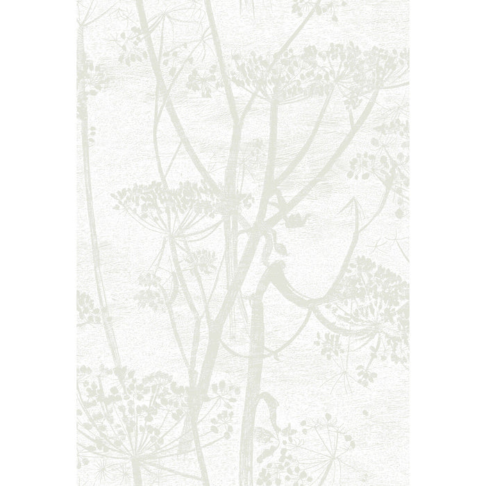 Cole & Son Cow Parsley White Wallpaper Sample 95/9052.CS.0