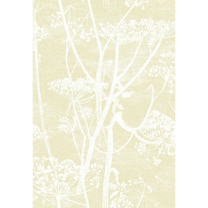 Cole & Son Cow Parsley Straw/White Wallpaper Sample 95/9053.CS.0