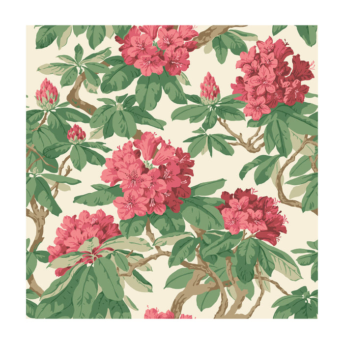 Cole & Son Bourlie Carmine Wallpaper Sample 99/4019.CS.0