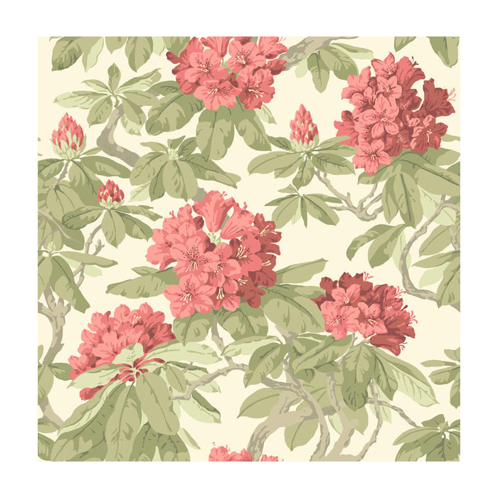 Cole & Son Bourlie Coral Wallpaper Sample 99/4020.CS.0